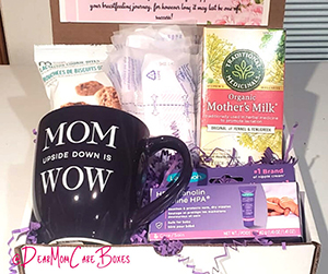 The Breastfeeding Box by Nutritious Gifts